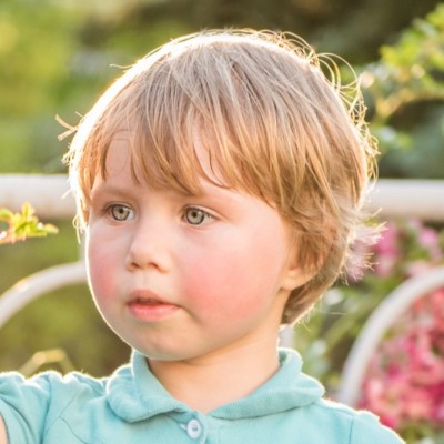 dienst 698a00f5c16e27.80362465